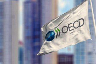 oecd turkey
