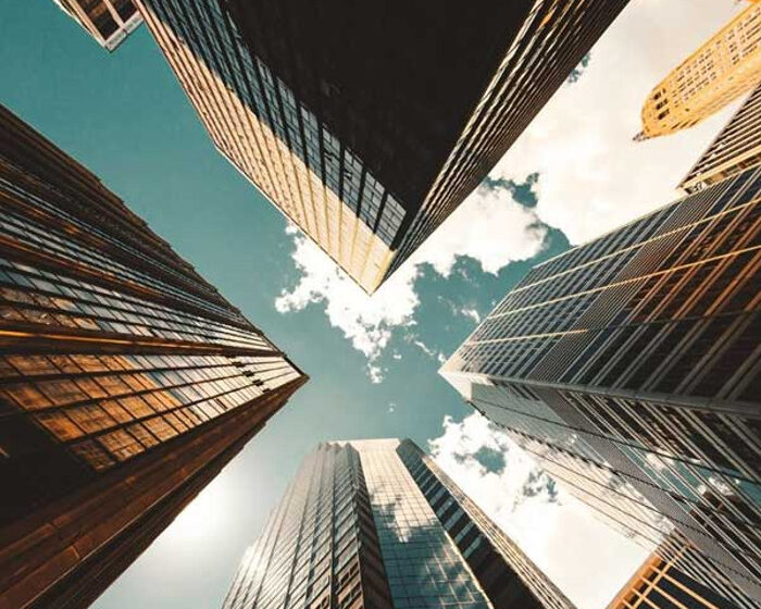New company launches up in January