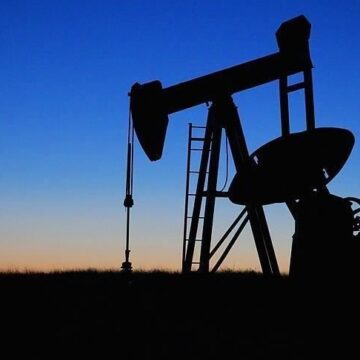 TWF prepares to invest in petrochemical industry
