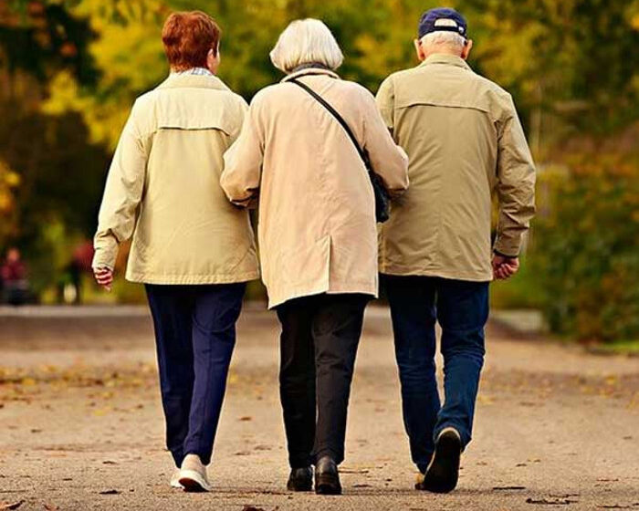 Elderly population increased by 22.5% in five years
