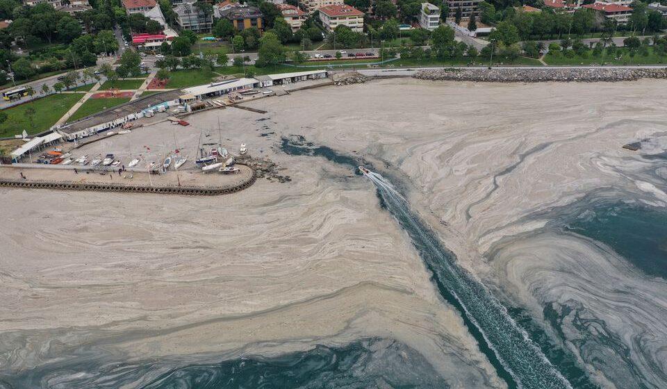 MUCILAGE CLEANUP CAMPAIGN STARTS