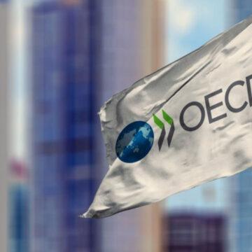 Inflation hits 30-year high in OECD area