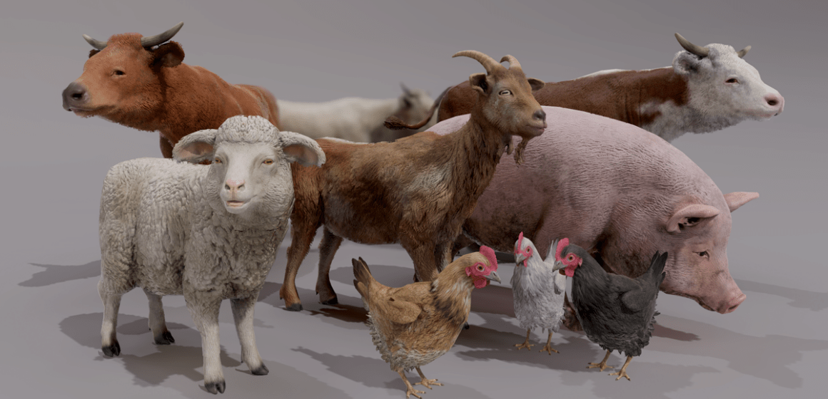 Animal production up by 4.5% in 2021