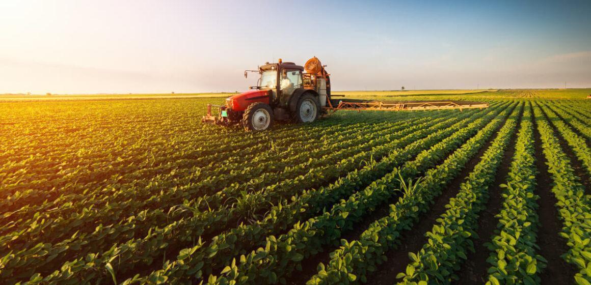 Disengagement from agriculture feeds food inflation