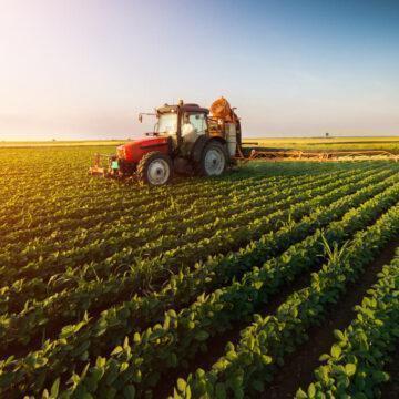 Agricultural input prices soar in December 2021