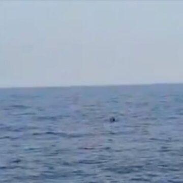 Teams neutralize mine found off coast of Igneada