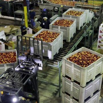 Non-domestic producer prices skyrocket in March