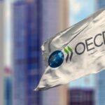 oecd turkey