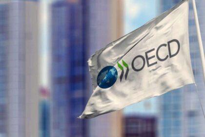oecd turkey